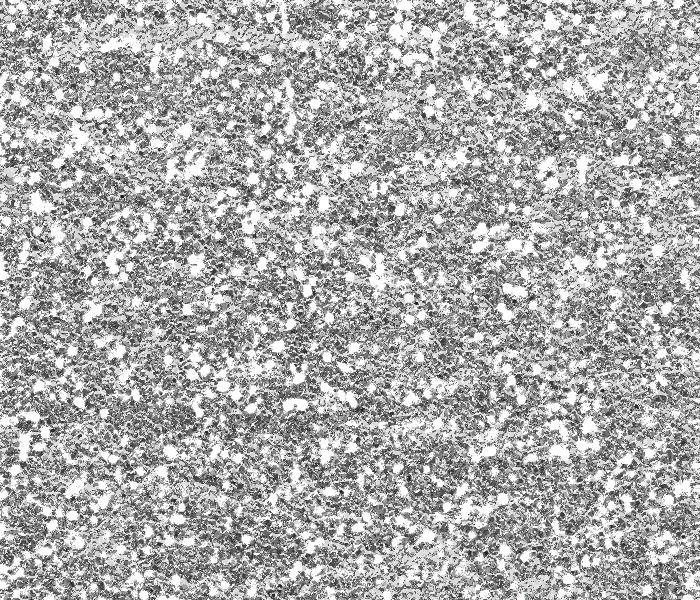 Pattern-0018.jpg