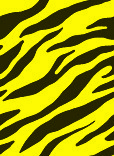 Pattern-0031.jpg