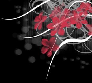Pattern-0065.jpg