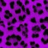 Pattern-0071.jpg