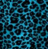 Pattern-0132.jpg