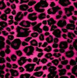 Pattern-0224.jpg