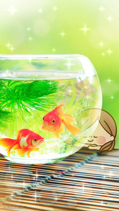 sp-wallpaper-079.jpg
