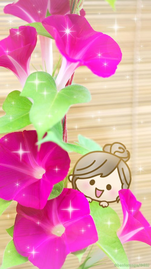 sp-wallpaper-110.jpg