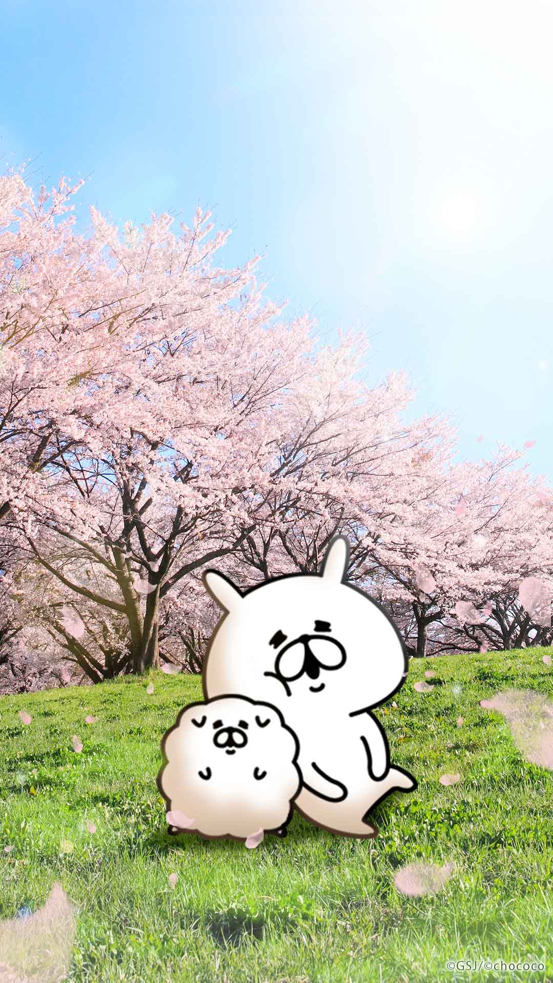sp-wallpaper-133.jpg