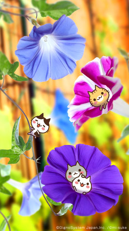 sp-wallpaper-155.jpg