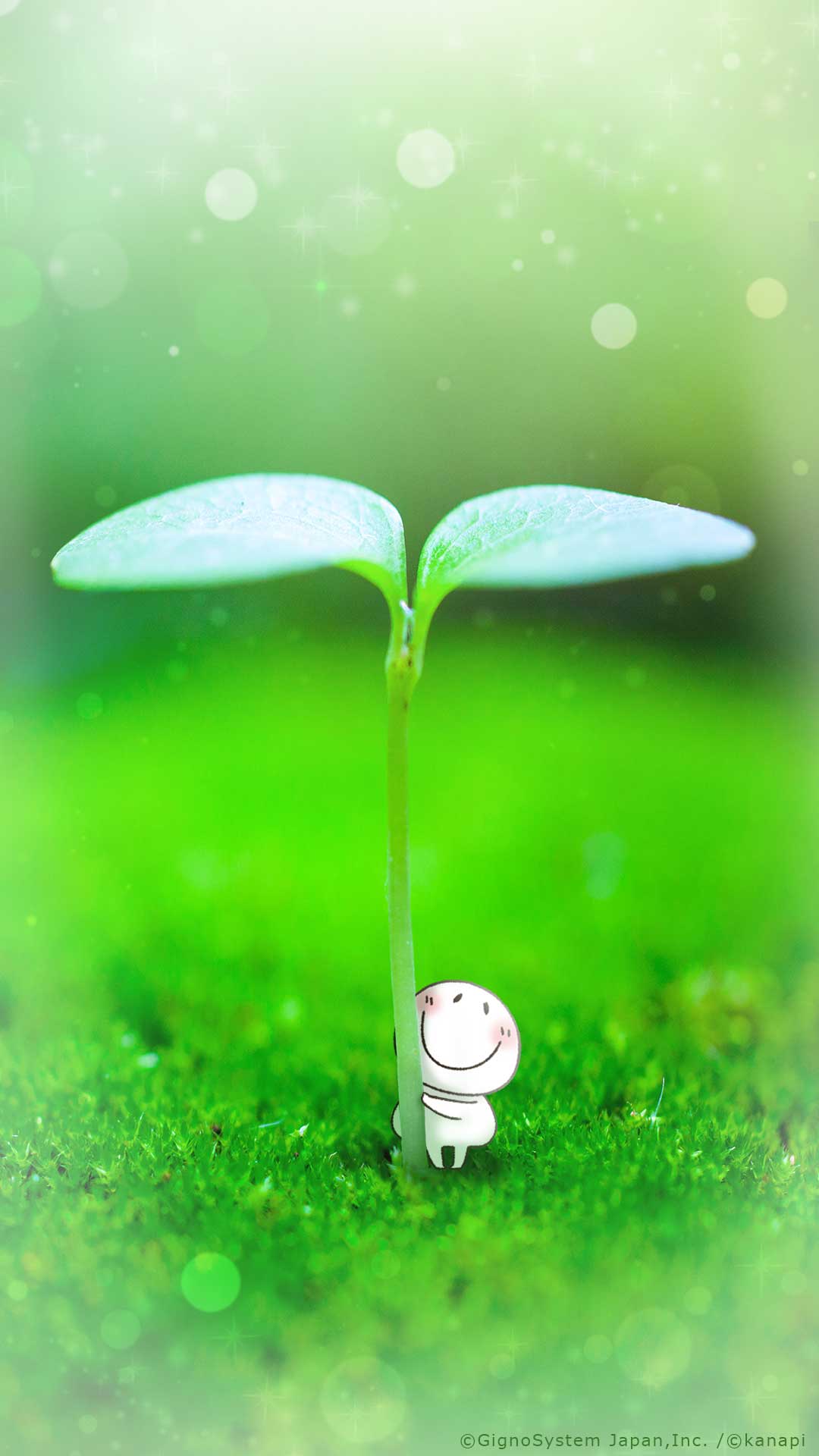 sp-wallpaper-182.jpg
