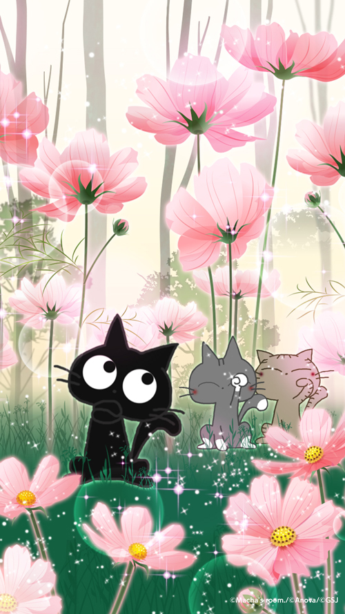 sp-wallpaper-228.jpg
