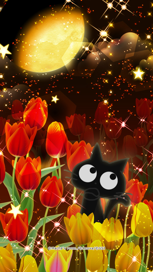 sp-wallpaper-231.jpg