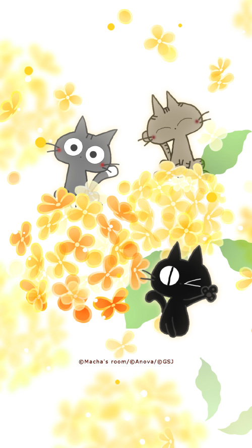 sp-wallpaper-232.jpg