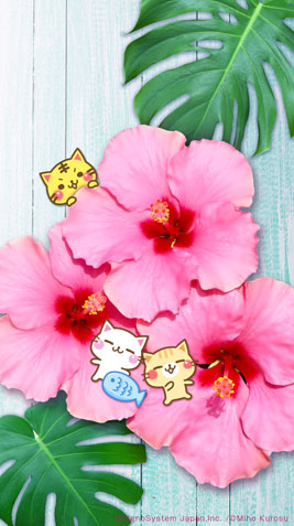 sp-wallpaper-236.jpg