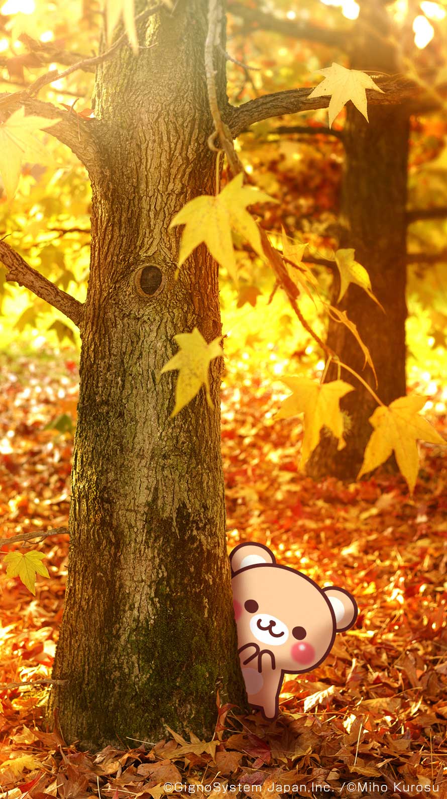 sp-wallpaper-237.jpg