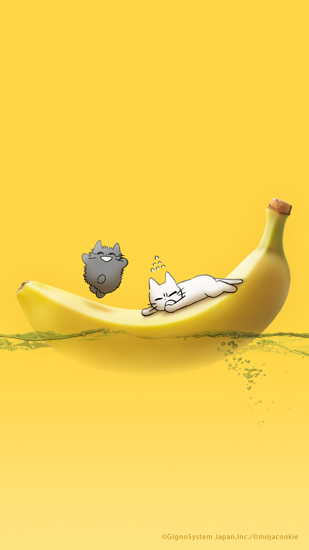 sp-wallpaper-249.jpg