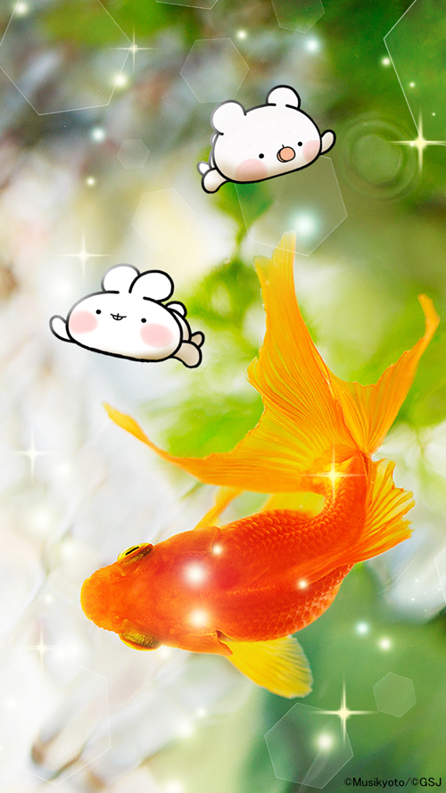 sp-wallpaper-261.jpg