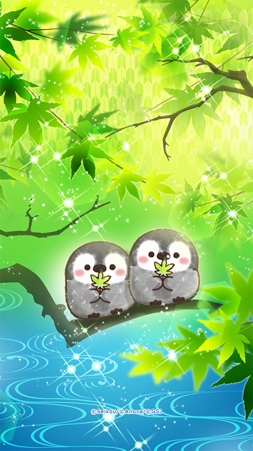 sp-wallpaper-500.jpg