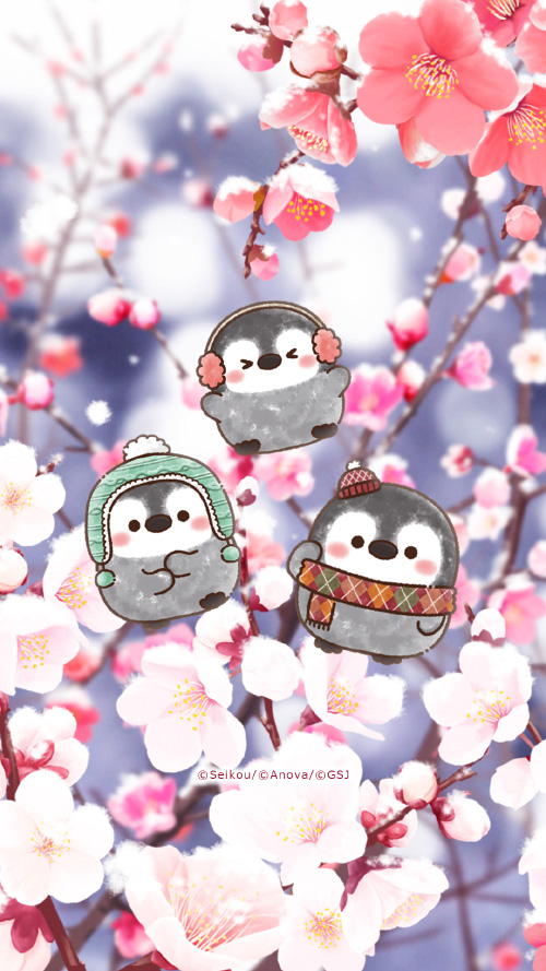 sp-wallpaper-506.jpg