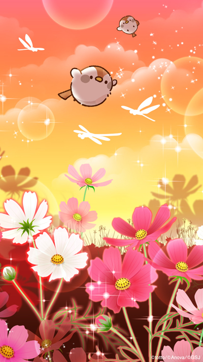 sp-wallpaper-541.jpg